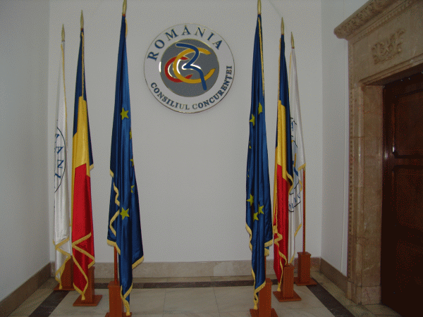 Consiliul Concurenţei a autorizat preluarea "Netcity" de către "Direct One"