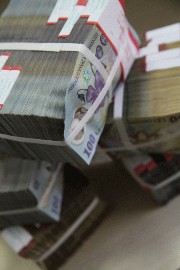 Linie de finanţare de 60 de milioane de lei pentru dezvoltarea metodelor de management în resursele umane