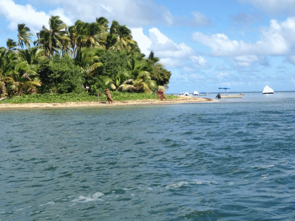Cutremur de magnitudinea 7,2 în largul Fiji şi alertă locală de tsunami