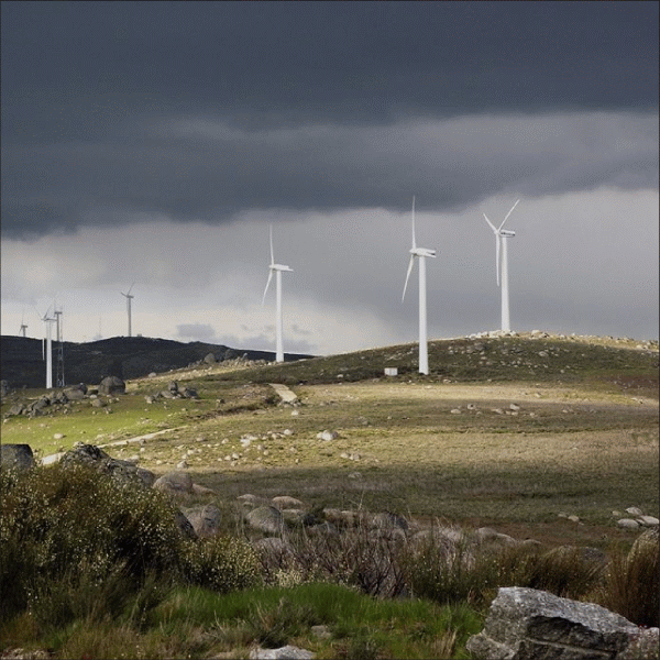 Producătorii de energie regenerabilă susţin că riscă falimentul din cauza cotei de certificate verzi de 8,3%