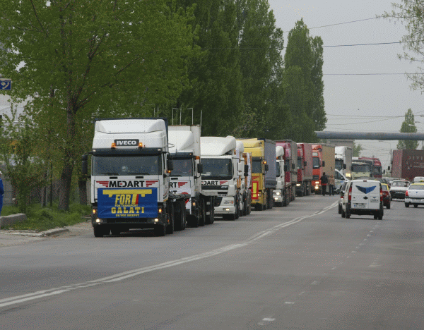 Transportatorii solicită majorarea capitalului "EximAsig"