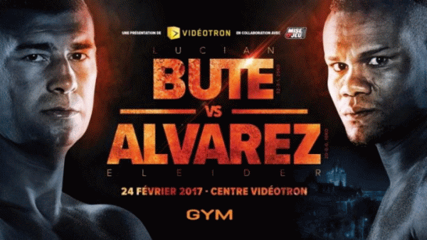 Lucian Bute, ultimul asalt spre o centură de campion