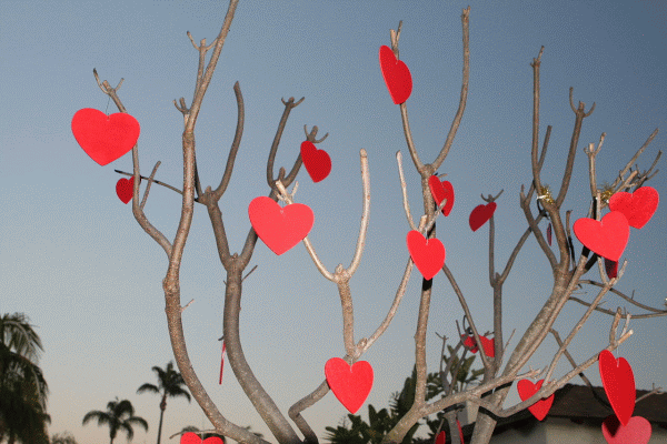 Cuplurile din România cheltuie de Valentine's Day 700-800 lei pentru o excursie internă 