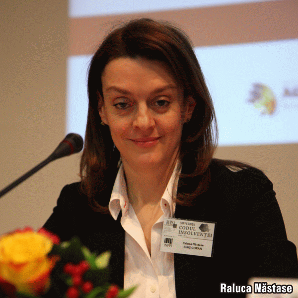 "Ar fi ideal să avem o procedură pre-insolvenţă mult mai eficientă"