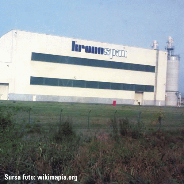 Kronospan vrea să facă la Braşov un parc industrial dedicat industriei lemnului 
