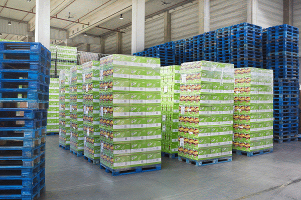 Producătorii care au trecut la sistemul de închiriere a paleţilor nu plătesc contribuţii pentru ambalajele terţiare din lemn