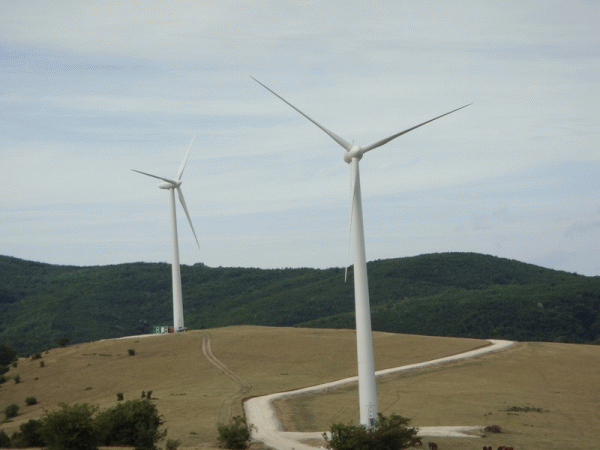 Producătorii de energie eoliană cer Guvernului să modifice urgent legislaţia prin OUG