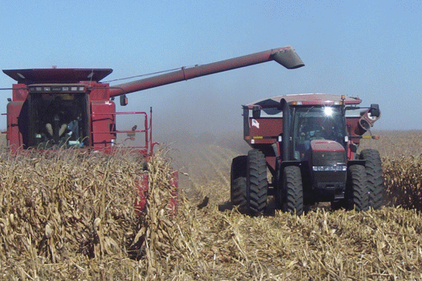 PwC: "România se confruntă cu o productivitate foarte scăzută în agricultură"