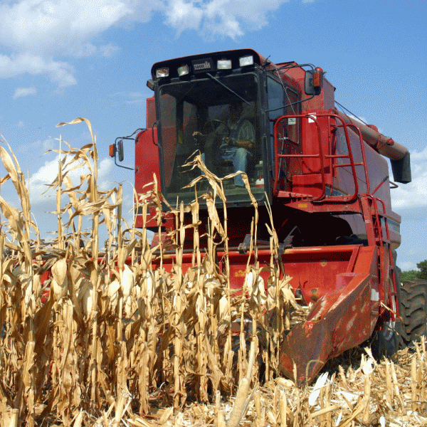 Măsuri pentru asigurarea accesului la finanţare a producătorilor agricoli 