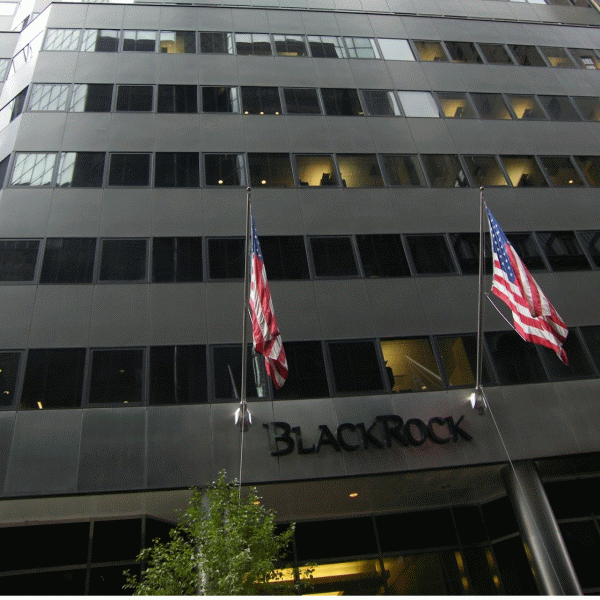 BlackRock, cel mai mare fond de investiţii din lume, în cărţi pentru acordarea de consultanţă la crearea Fondului Suveran de Investiţii