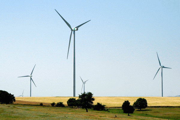 Guvernul a modificat schema de sprijin a producţiei energiei din surse regenerabile