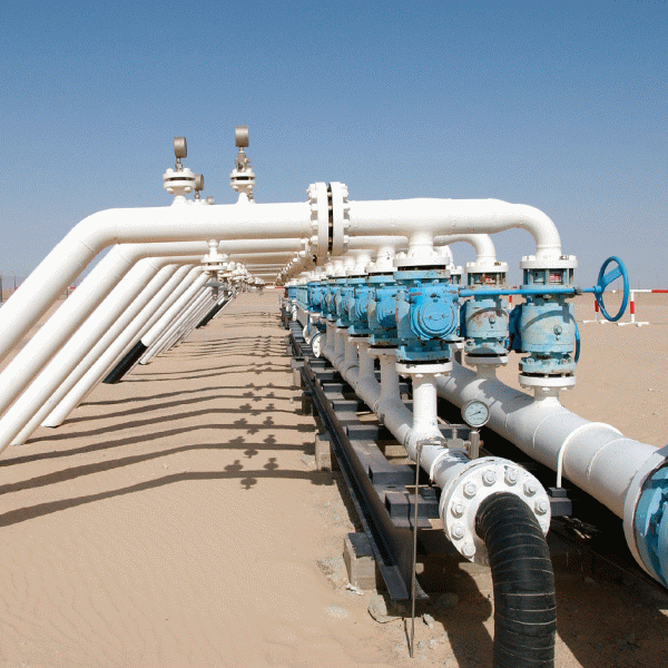 Linde Gaz România a cumpărat companiile ITO Industries şi Rodmir Expert
