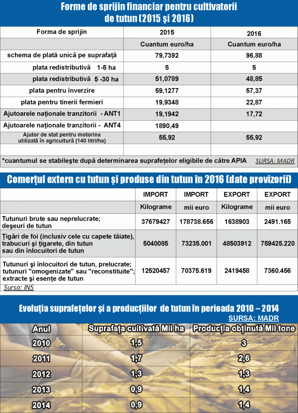 MADR: Producţia noastră de tutun a crescut, anul trecut