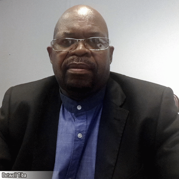 "Sectorul energetic este, încă, cel mai important pentru investiţiile româneşti în Africa de Sud"