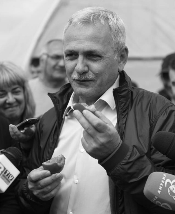Liviu Dragnea (Sursa foto: Facebook)