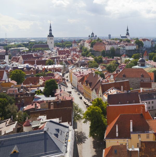  Cum poţi deschide o firmă online în Estonia