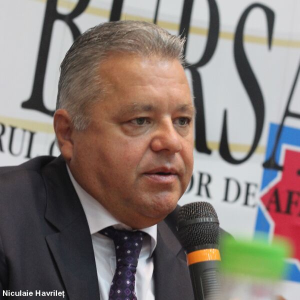 Havrileţ: "Nerealizarea investiţiilor în Reţeaua Electrică de Transport scade indicatorii de performanţă" 