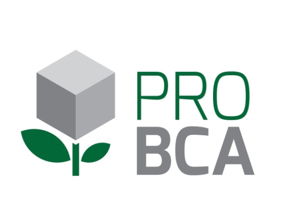 Logo PRO BCA