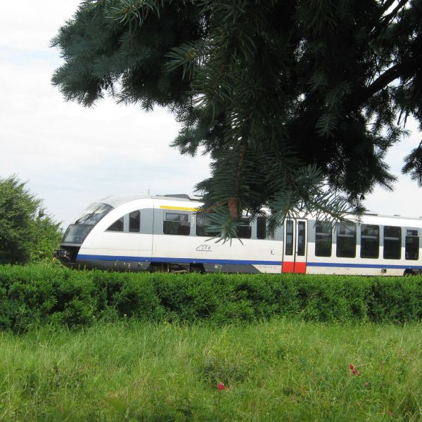 CFR Călători a anunţat profit de 64 milioane lei, la finalul lunii iulie 