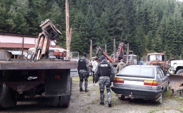 Percheziţii în Maramureş (Sursa foto: Poliţia Română)