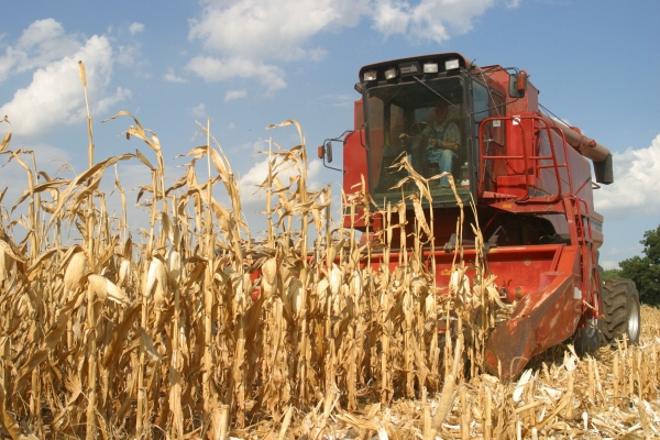 Fonduri mai mari alocate sprijinului acordat agricultorilor pentru achiziţionarea motorinei