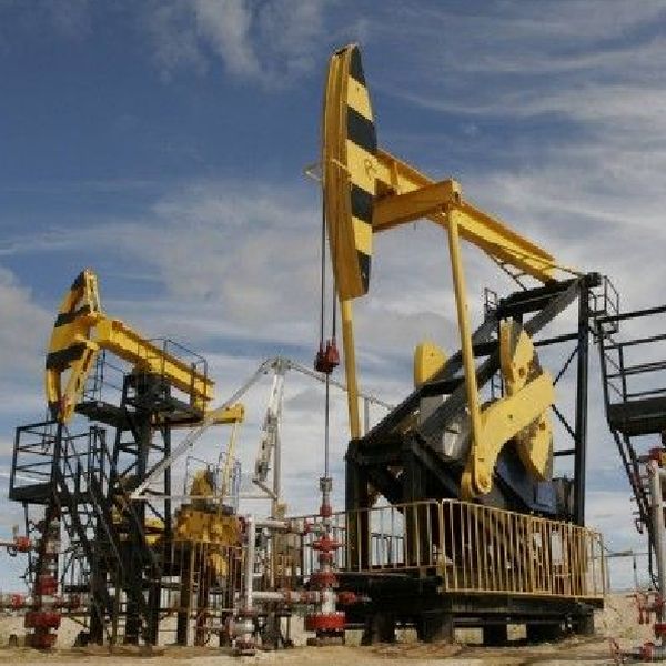 OPEC cere SUA să-şi reducă producţia de petrol de şist