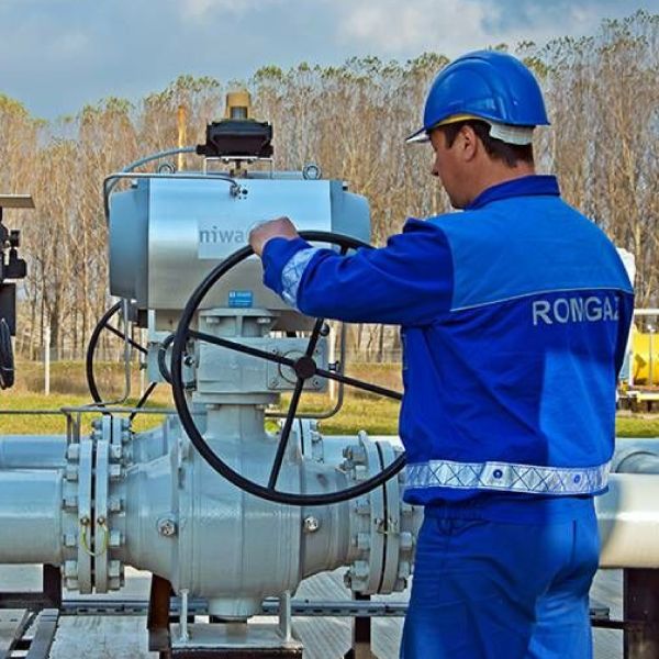Acţionarii Romgaz au aprobat dividendele suplimentare de 747,7 milioane de lei