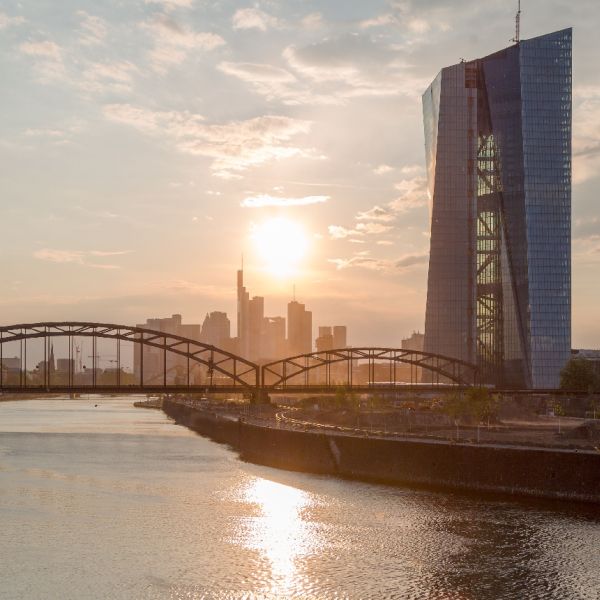 The ECB proposes dropping the guarantee of bank deposits