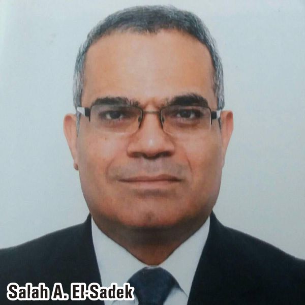 "Egiptul poate fi una din porţile României către lumea arabă şi Africa"