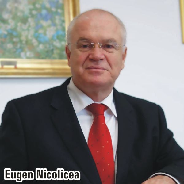 Amendamentul adoptat de comisia de regulament la propunerea deputatului PSD Eugen Nicolicea spune: "După ce timpul de dezbatere aprobat a fost epuizat, dezbaterea se încheie şi preşedintele de şedinţă supune votului amendamentele cuprinse în raportul comisiei, în următoarea ordine: în primul rând, se supun votului amendamentele prin care se propune eliminarea unor texte, apoi amendamentele adoptate de comisie. Dacă niciunul dintre aceste amendamente nu a fost adoptat, se supun votului amendamentele respinse din raport, în ordinea înscrisă în acesta. Dacă unul dintre amendamente a fost acceptat de majoritatea deputaţilor prezenţi, celelalte amendamente se consideră respinse. Dacă niciunul din amendamentele din raport nu a întrunit numărul necesar de voturi pentru a fi adoptat, se consideră adoptată forma iniţială". Ca urmare a adoptării acestei propuneri, timpii de dezbatere a unui act normativ în plenul Camerei vor fi reduşi semnificativ, deoarece opoziţia nu va mai avea posibilitatea să-şi susţină în plen amendamentele respinse în comisii.