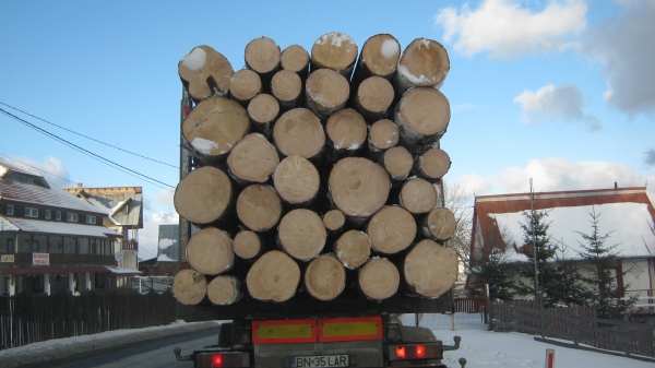 "Holzindustrie Schweighofer" anunţă noua versiune a sistemului Timflow de monitorizare a livrărilor de buştean