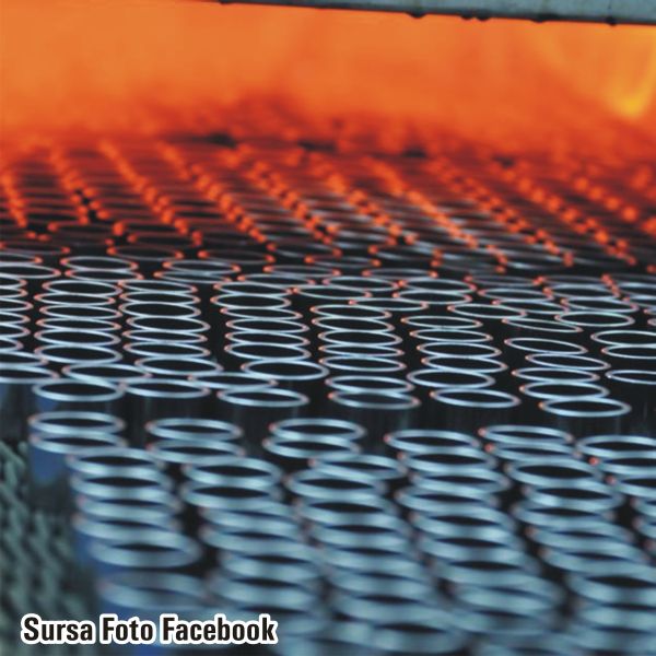 "Sinterom" vrea să facă o investiţie de 3 milioane de euro, cu fonduri europene