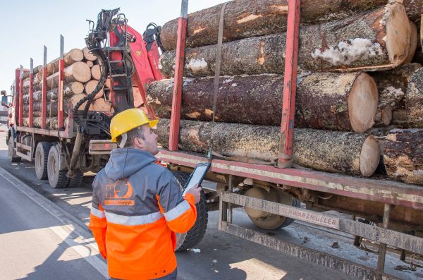 Holzindustrie Schweighofer a refuzat un transport suspect de material lemnos