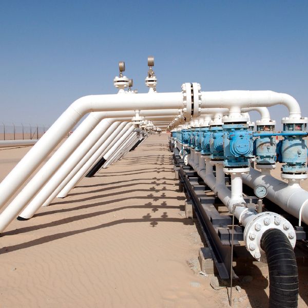 Sources: "The US embassy took interest in the reference price for natural gas"