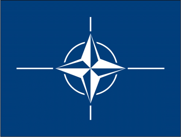 Ameninţările lui Putin la adresa NATO sunt "inacceptabile", denunţă Alianţa