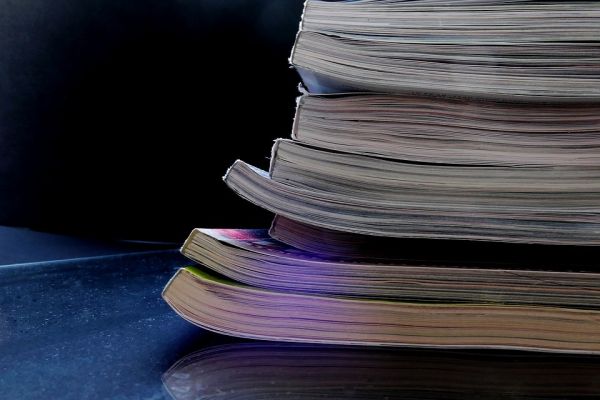 Iniţiativa USR "Fără penali în funcţiile publice" a fost publicată în Monitorul Oficial