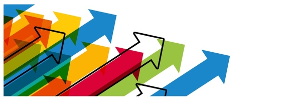 Entitatea de Soluţionare Alternativă a Litigiilor în Domeniul Financiar Non-bancar şi-a prezentat bilanţul activităţii pentru anul 2017