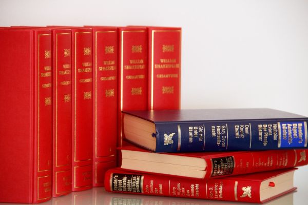 Instituirea anului 2019 drept "Anul Cărţii" în România, pentru a încuraja lectura în şcoli