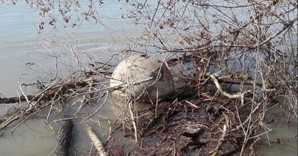 Forţele Navale caută sursa celor două mine de război descoperite pe Dunăre