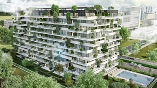  Peste 1.000 de arbuşti şi plante vor fi plantaţi în cadrul Vox Vertical Village
