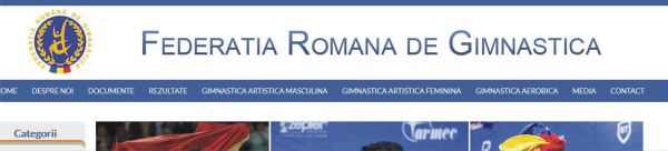 Cazul "Drăgulescu", rezolvat cu ameninţări şi o amendă