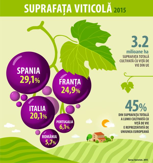 "Wine tourism", proiect comun între România şi Republica Moldova 