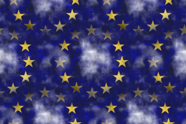 C.E. a stabilit data pentru alegerile europarlamentare