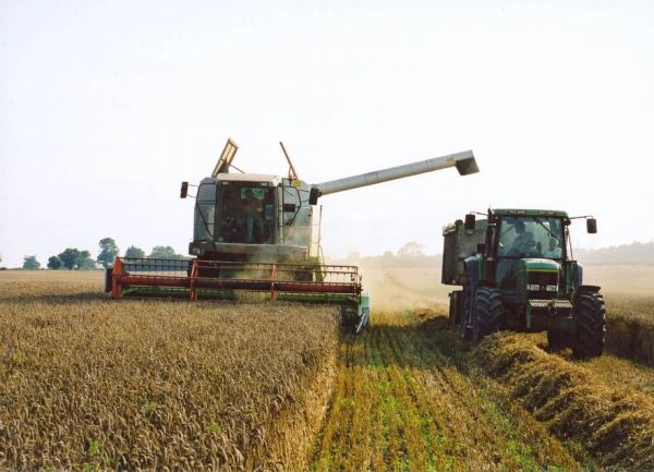 "Executivul vrea ca sectorul agricol să devină motor de creştere economică"