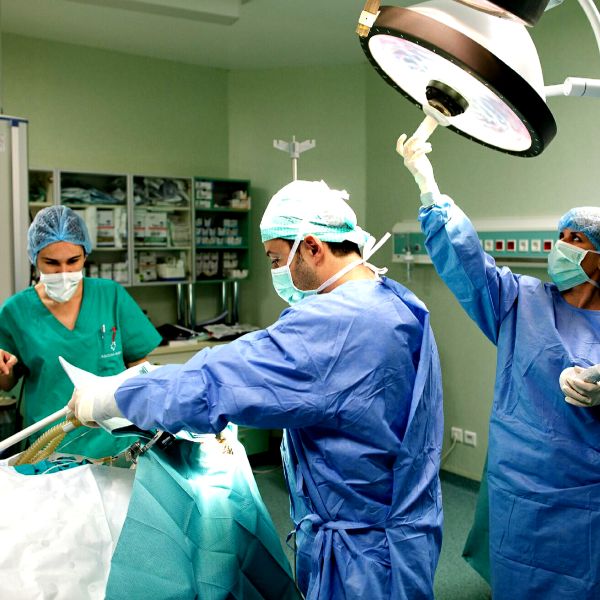 Creştere uşoară la nivelul numărului de medici