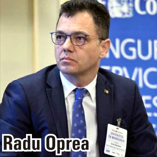 Noua schemă de ajutor de stat încurajează şi investiţiile firmelor autohtone