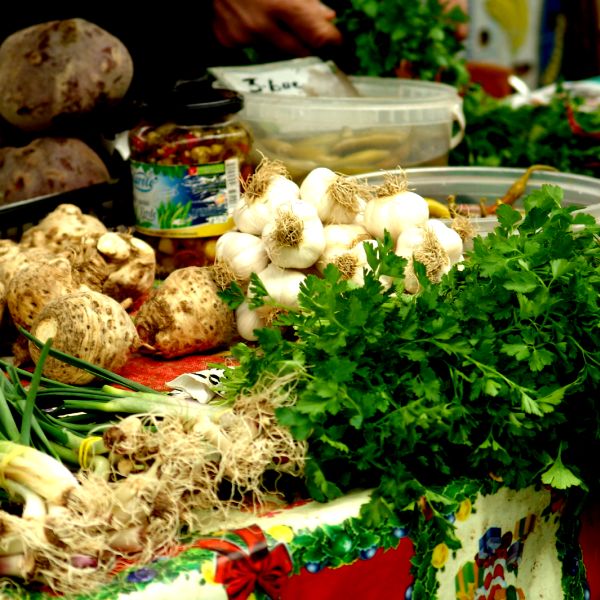 Jumătate dintre consumatori risipesc lunar 25% din alimente