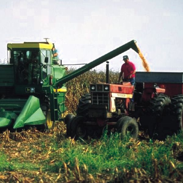 Agricover Holding raportează un profit net de 29,6 milione lei 