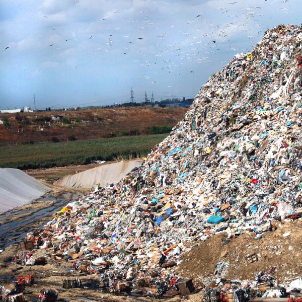 Dezastru ecologic la marginea Capitalei