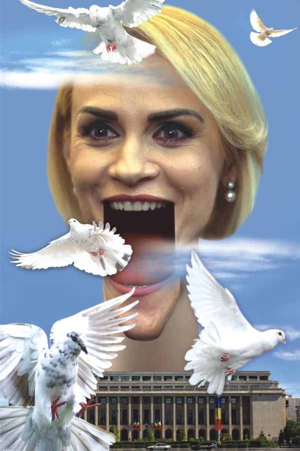 Ilustraţie de MAKE